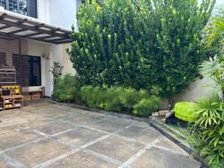 Capitol Park (D11), Terrace #473804681